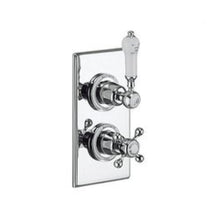 Load image into Gallery viewer, Trent Concealed (Slide Rail) Thermostatic Shower
