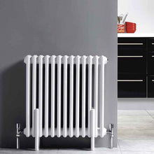 Load image into Gallery viewer, Horizontal Double Column High Gloss White Colosseum Radiator
